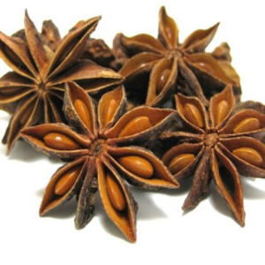 Aniseed Star  (Badian)