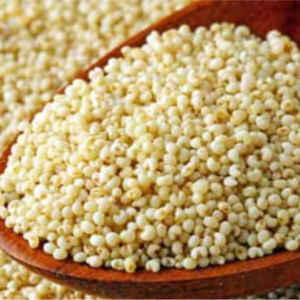 Kus Kus (Poppy Seeds)