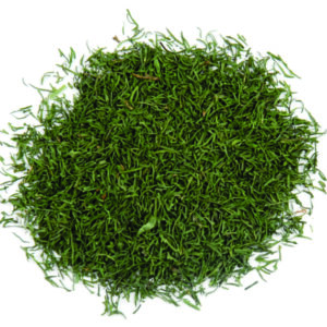 Dill Tips
