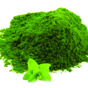 Mint Powder 